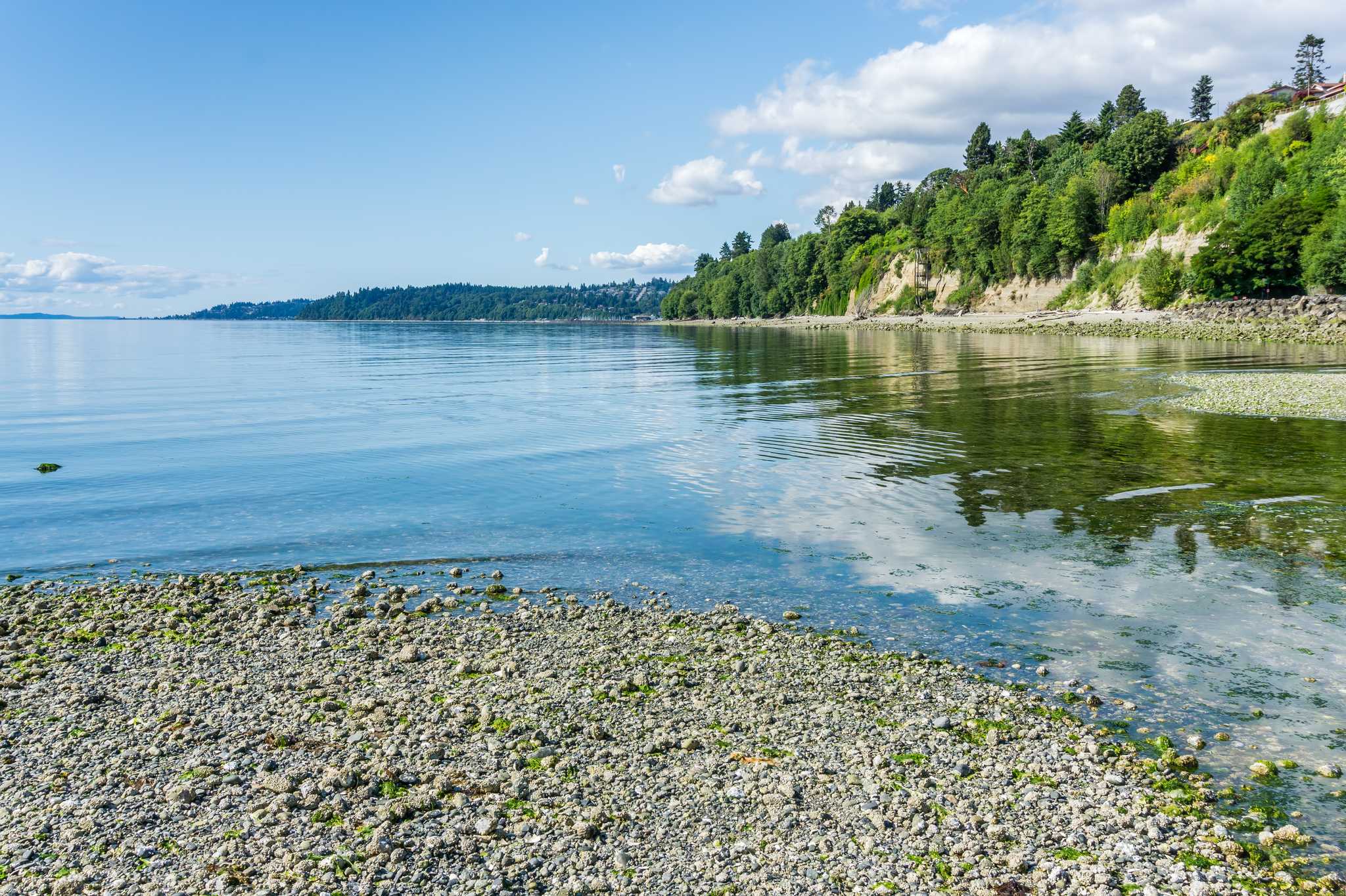 Visit Saltwater State Park on the way from vancouver-wa-us to bellingham-wa-us with Daytrip