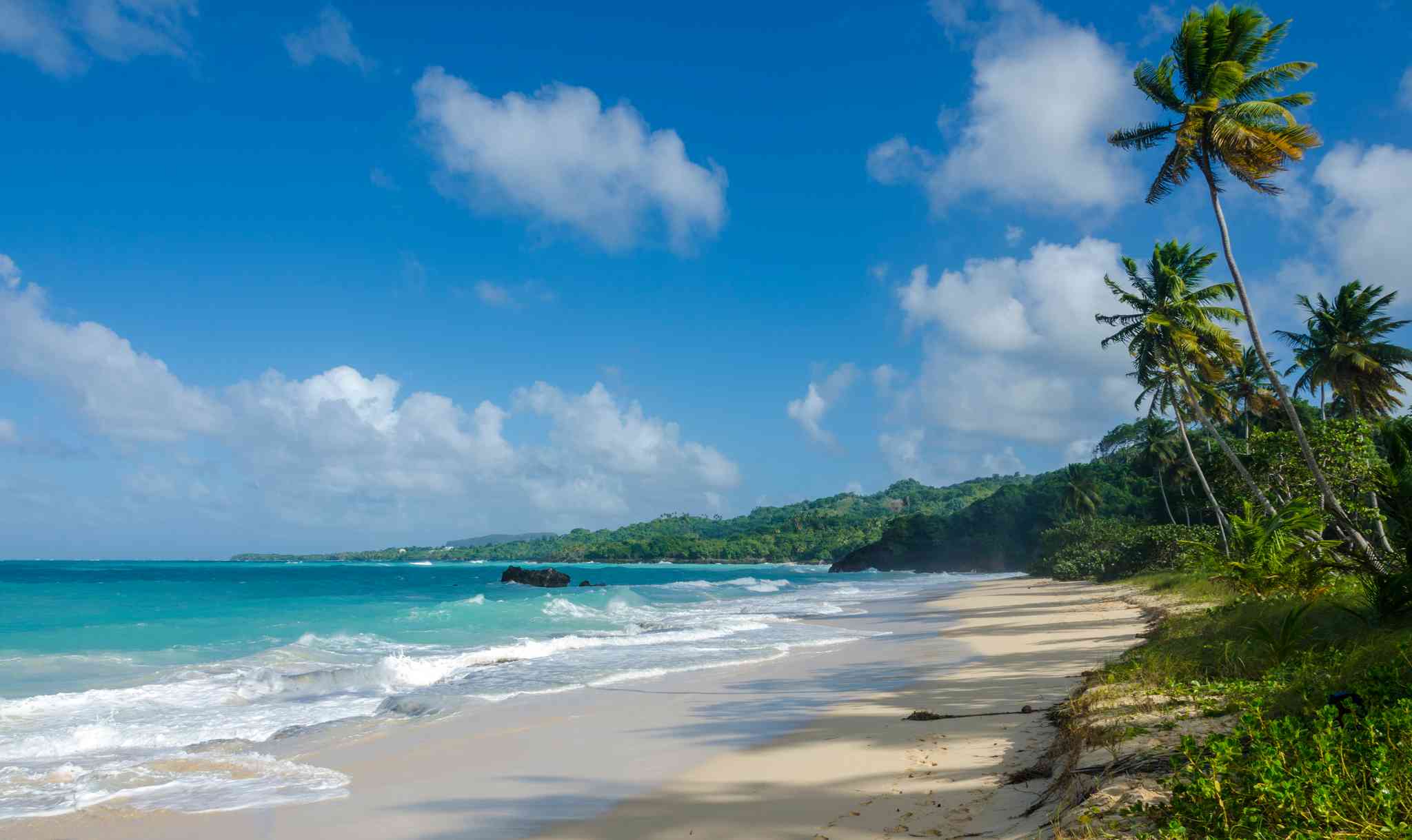 Scenic view of Samana - private day trip from Las Américas International Airport - photo 2