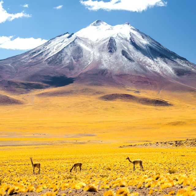 Calama to San Pedro de Atacama and Puritama Springs Day Trip
