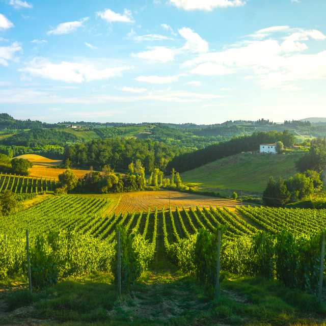 Siena to San Gimignano: Private day trip