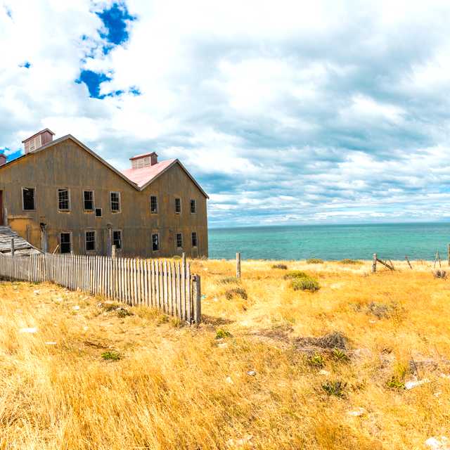 Punta Arenas to San Gregorio and Pali-Aike Park: Day trip