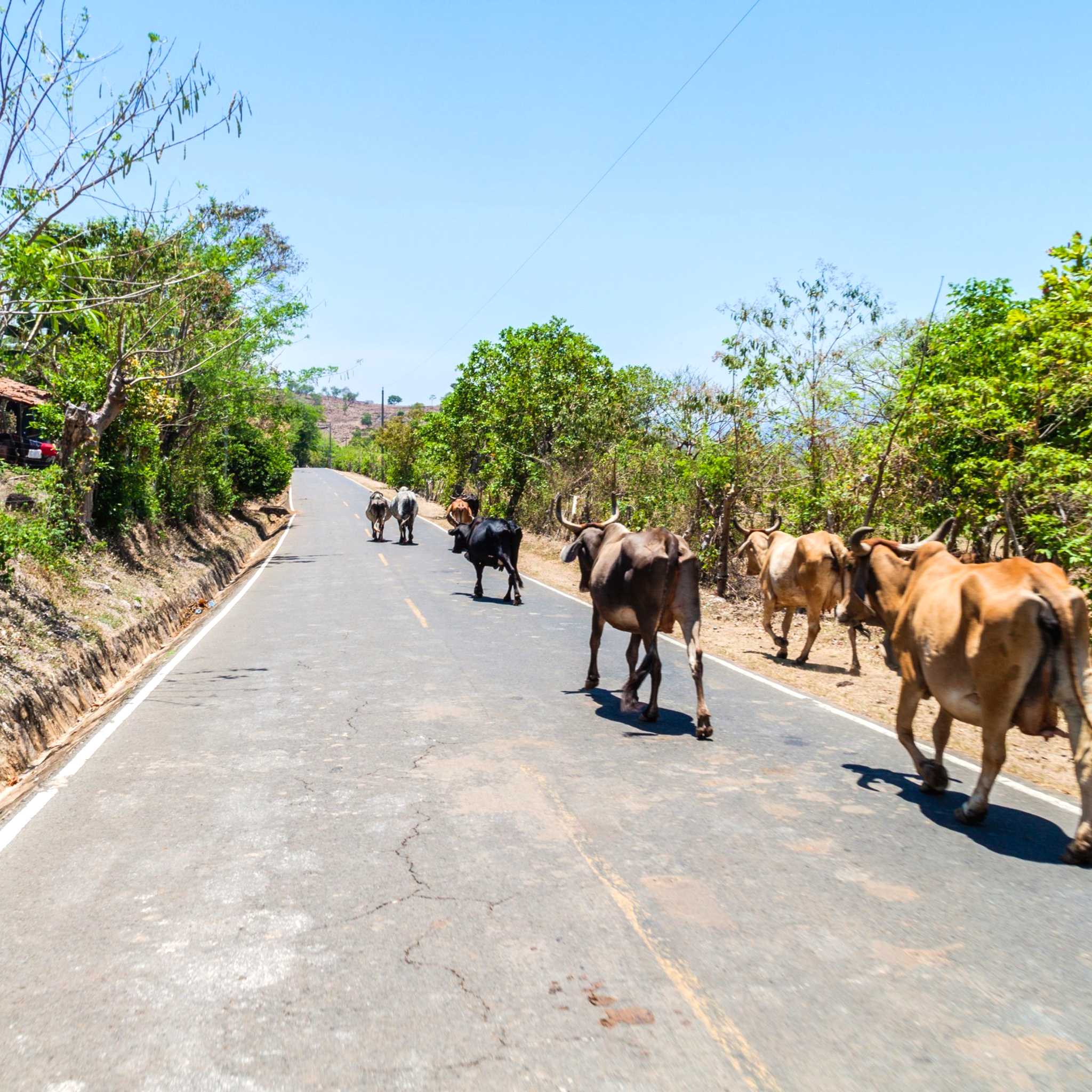 Private car transfers in Belize from San Ignacio