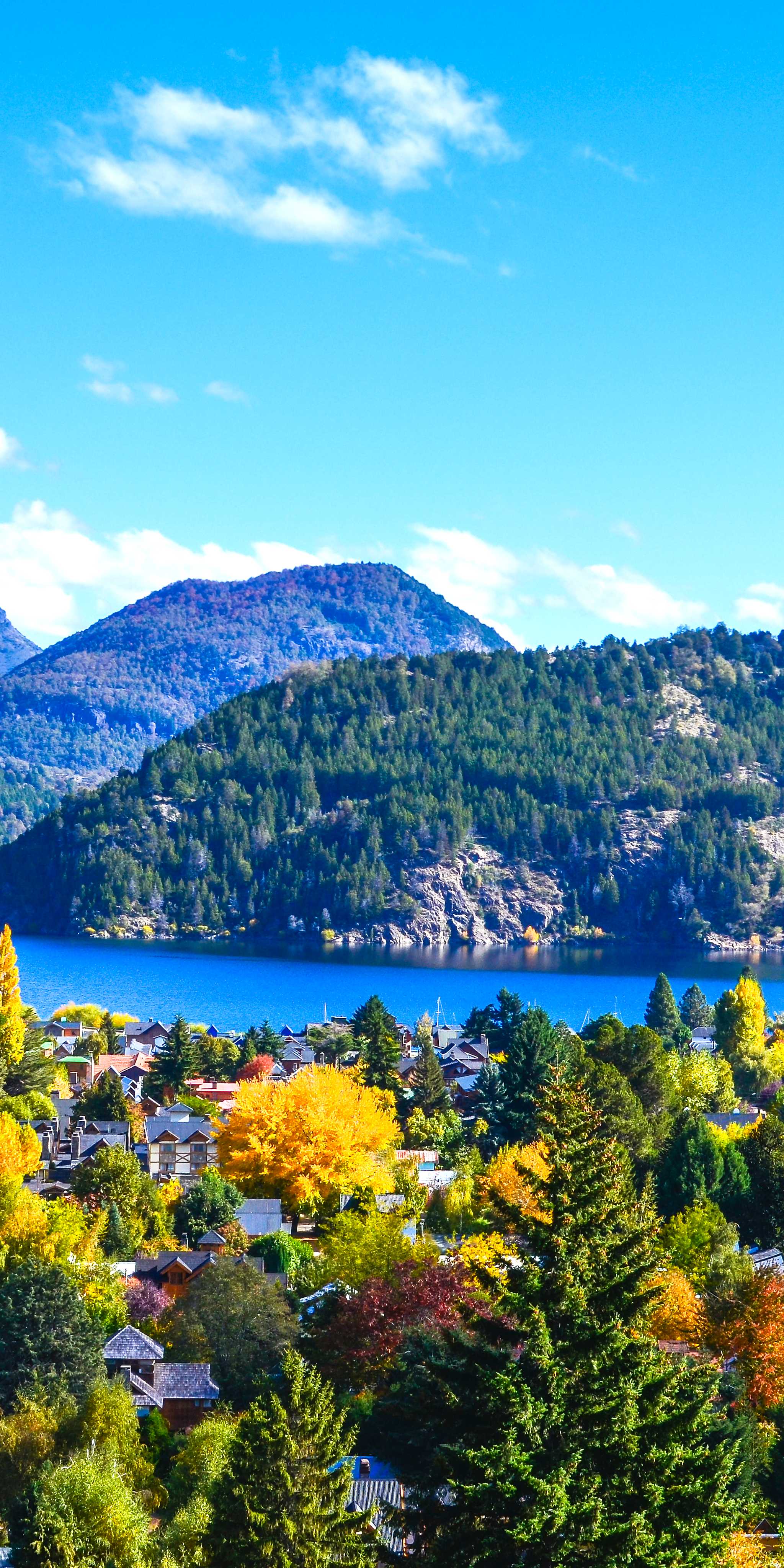 圣马丁德洛斯安德斯