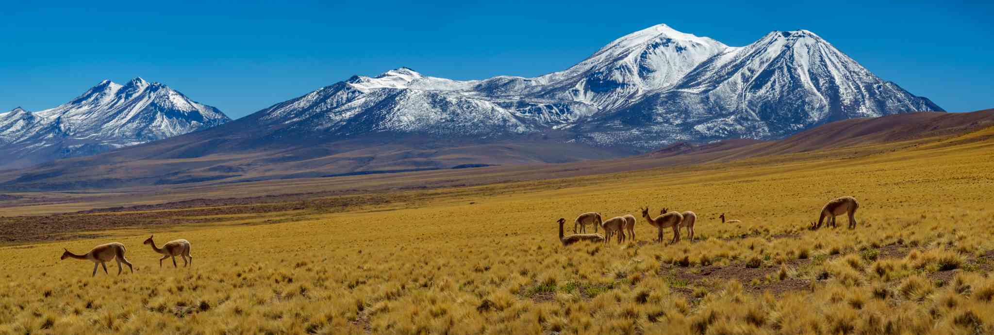 Vista panorámica de San Pedro de Atacama - excursión privada de un día desde Vallenar - foto 6