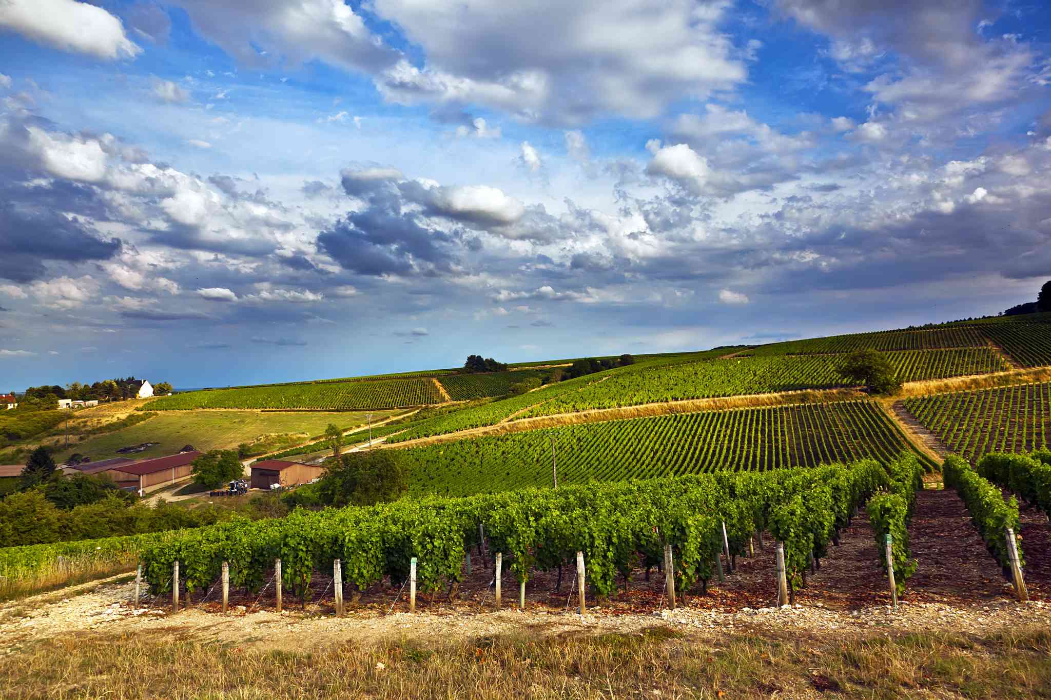 Vista panorámica de Sancerre - excursión privada de un día desde Lyon - foto 2