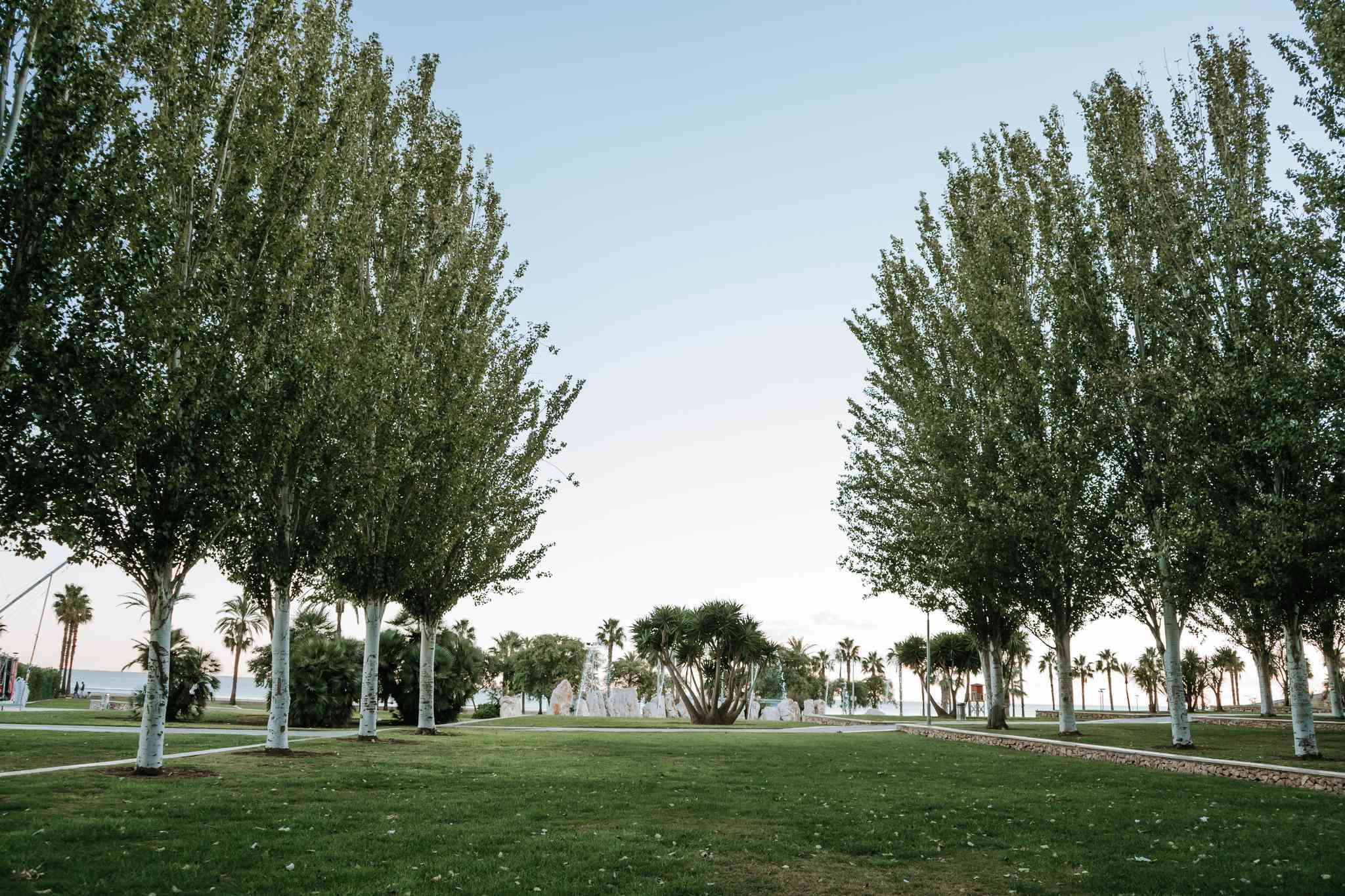 巴塞罗那 的风景 - 从  Sant Carles de la Rapita 出发的私人 一日游 - 照片 8