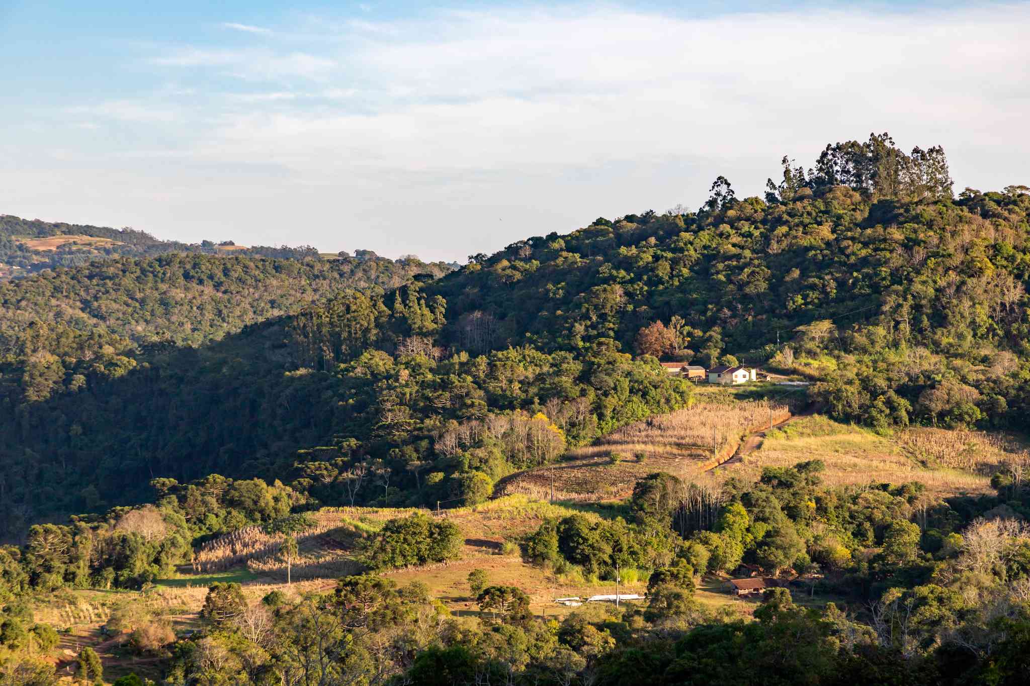 Vista cênica de Foz do Iguaçu - excursão particular de um dia de Santa Cruz do Sul - foto 5