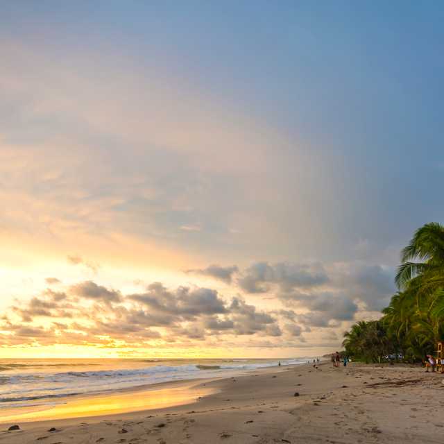 Tamarindo to Santa Teresa and Malpais: Private day trip