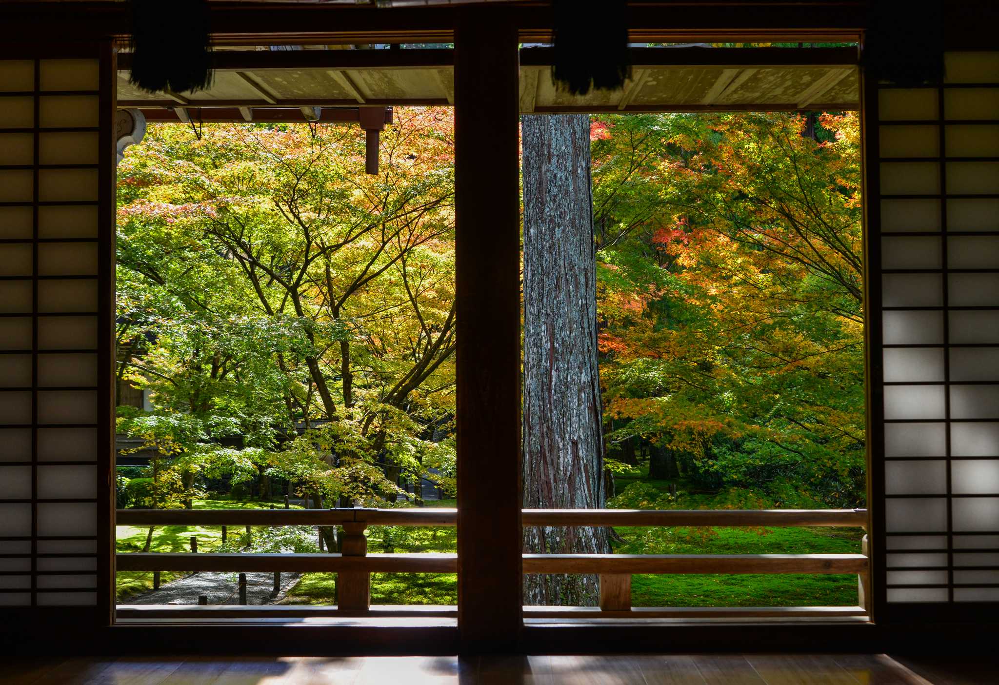 Itinerary stop at Sanzen-in Temple on private day trip from Kyoto