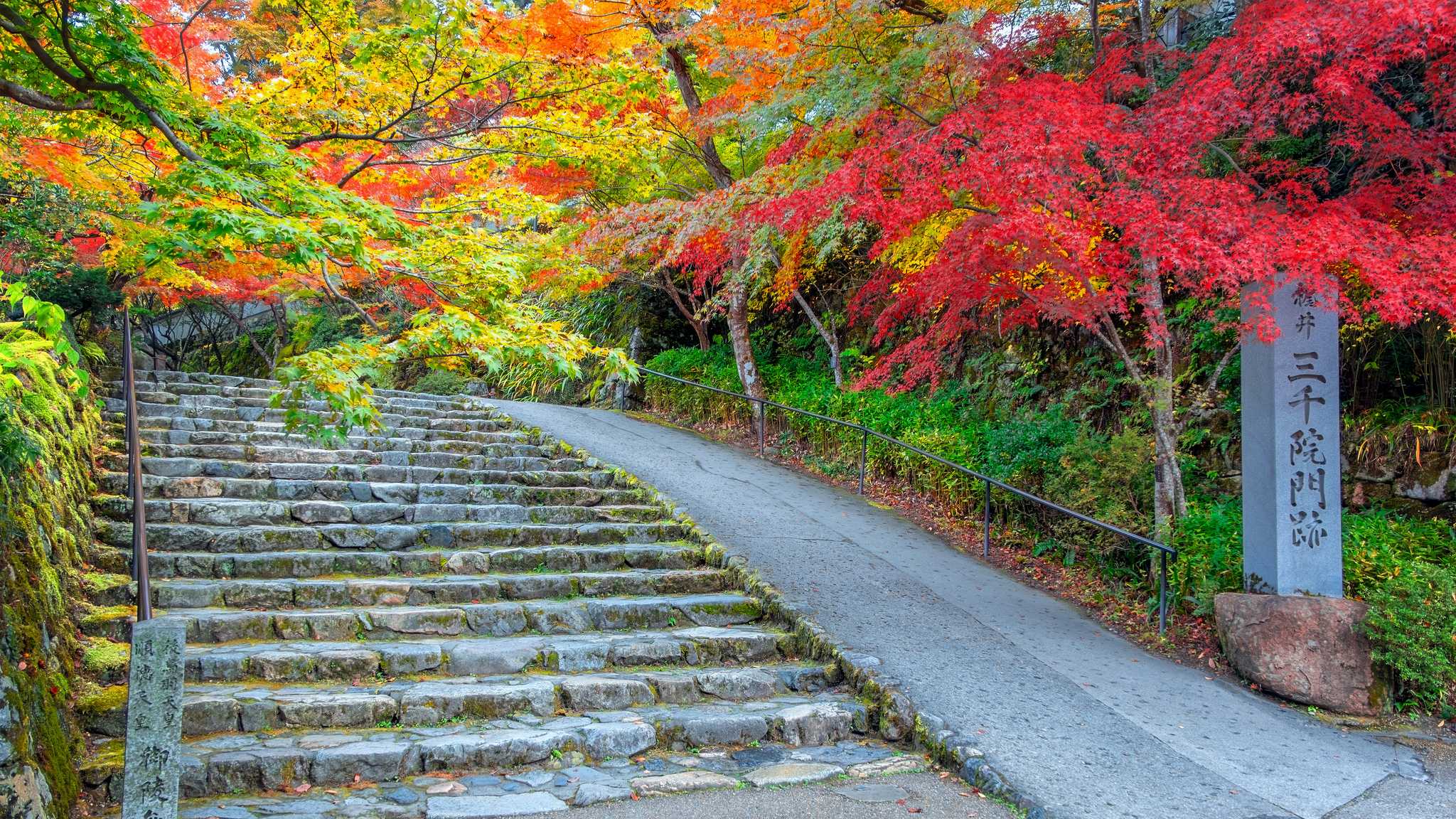 Itinerary stop at Sanzen-in Temple on private day trip from Kyoto