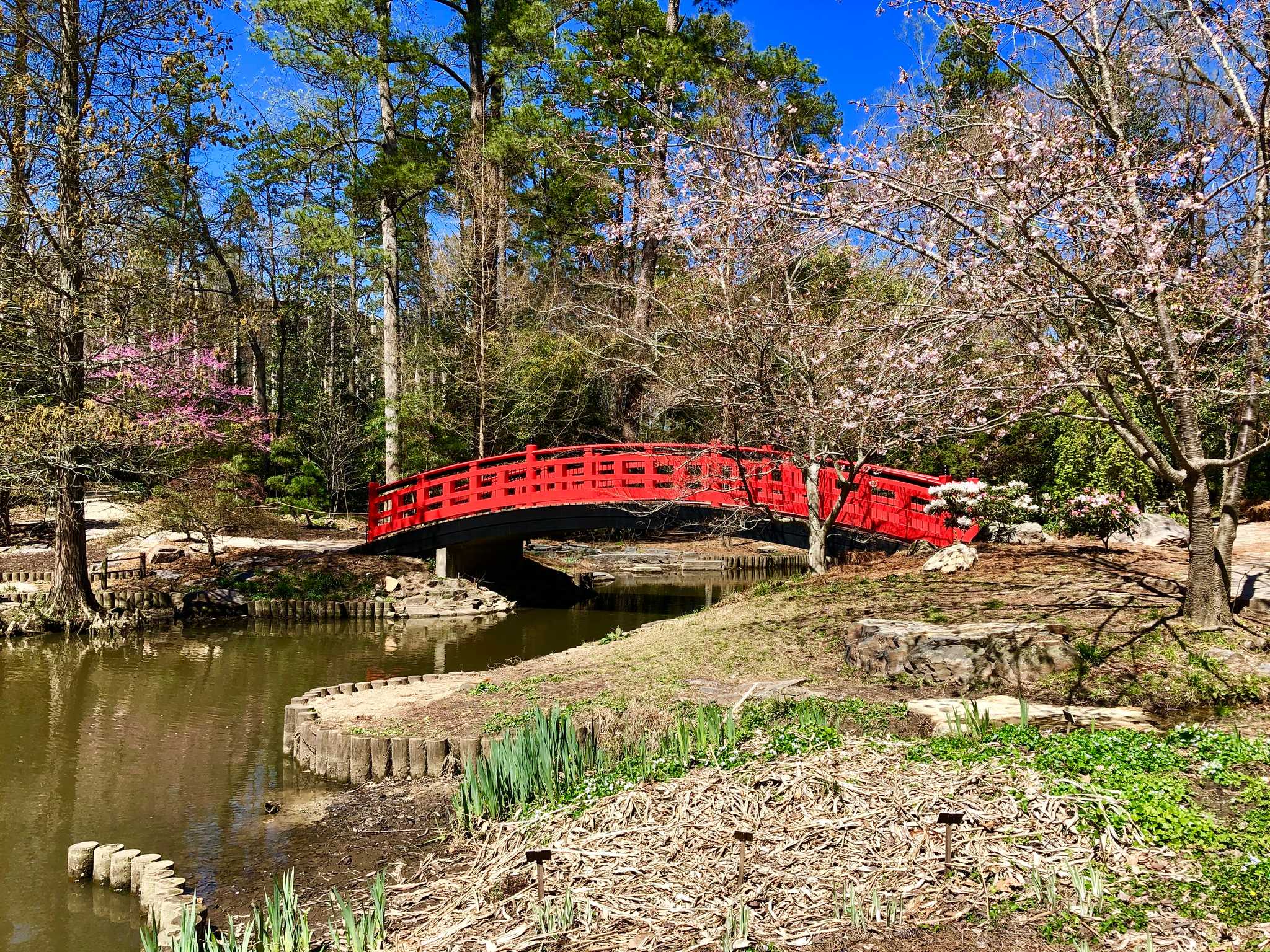 在 从 st-pete-clearwater-international-airport-us 到 richmond-va-us 的途中，参观 Sarah P. Duke Gardens ，通过 Daytrip