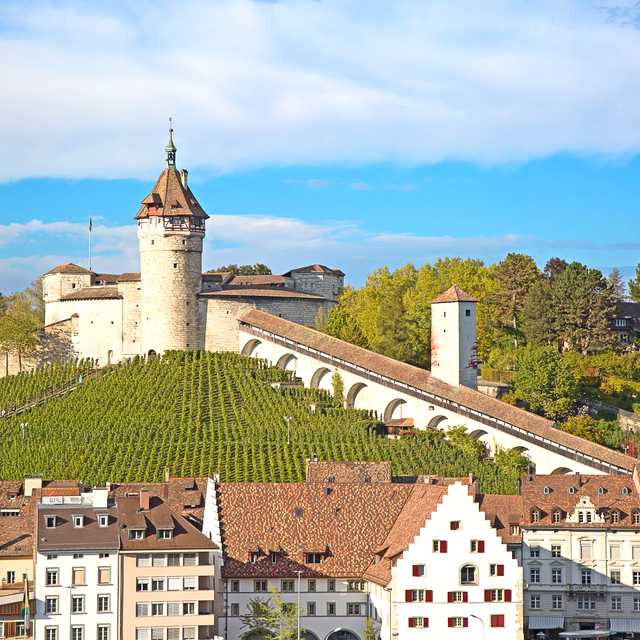 Bern to Zurich and Schaffhausen: Private day trip