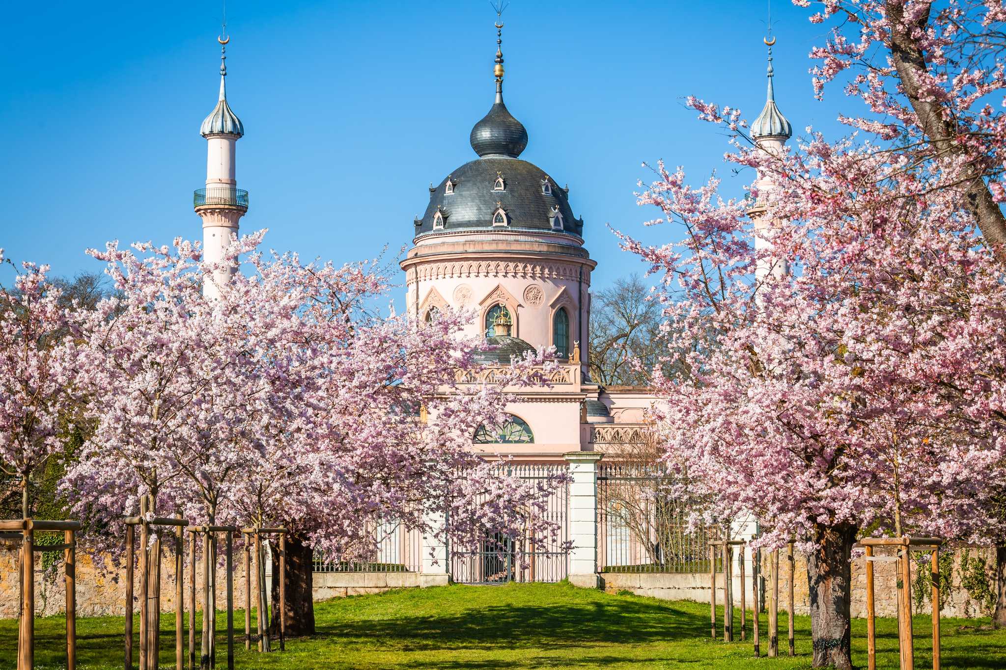 Frankfurt Airport ์์ ์ถ๋ฐํ๋ ๊ฐ์ธ์ ์ธ ํ๋ฃจ ์ฌํ ์ค Schwetzingen Palace and Gardens ์ผ์ ์ ์ง