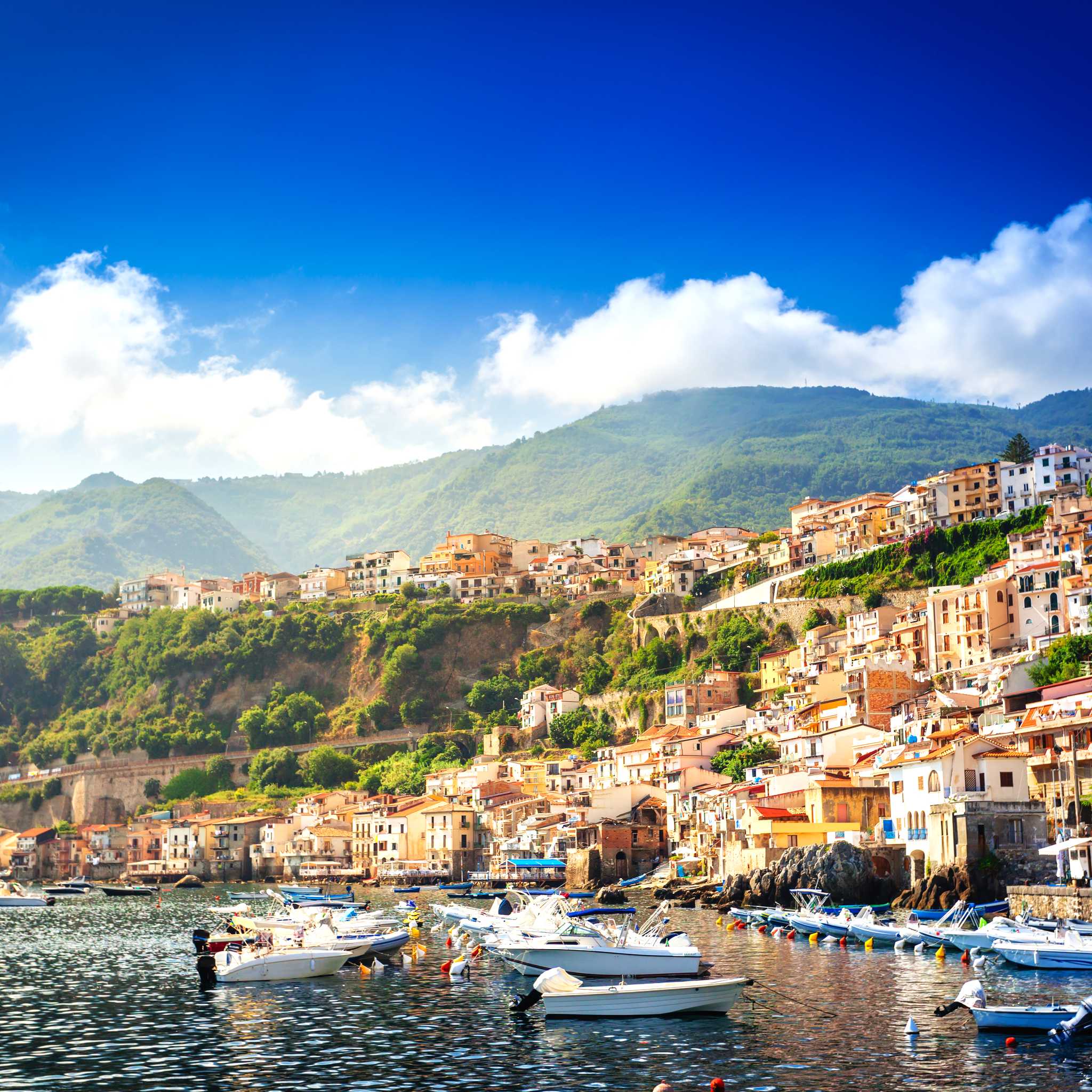 Scilla