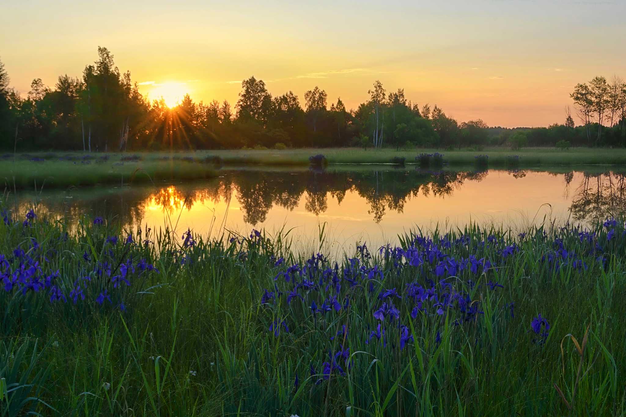Visit Seabourne Creek Nature Park on the way from austin-tx-us to galveston-tx-us with Daytrip