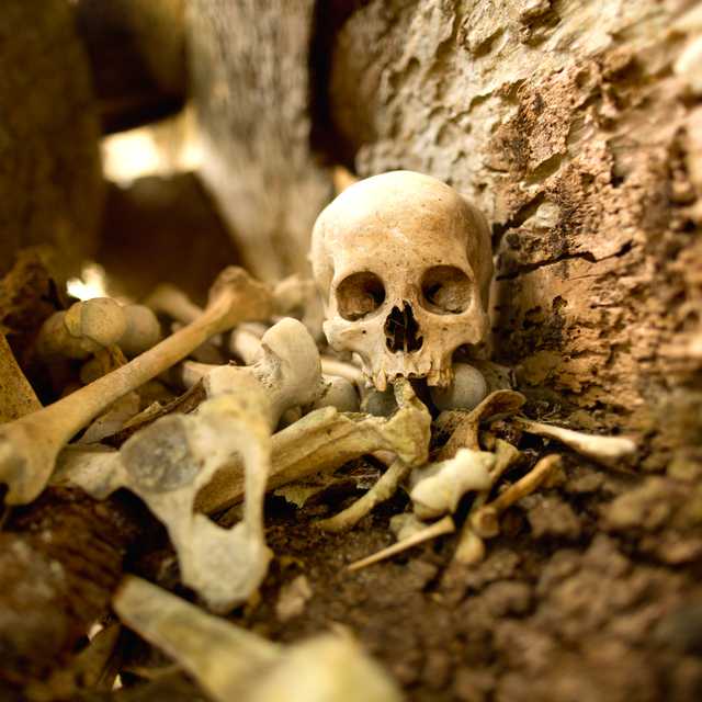 Prague to spooky Czech Sites: Private day trip