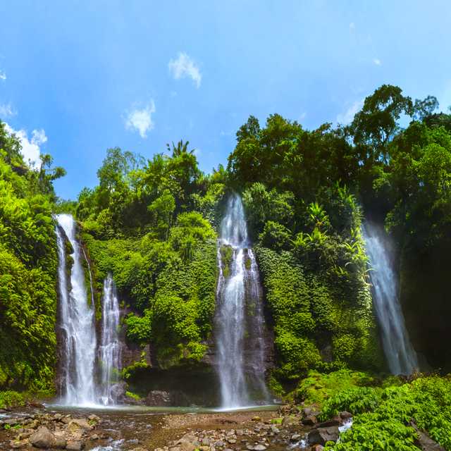 Denpasar to Sekumpul Waterfall and Munduk: Private day trip