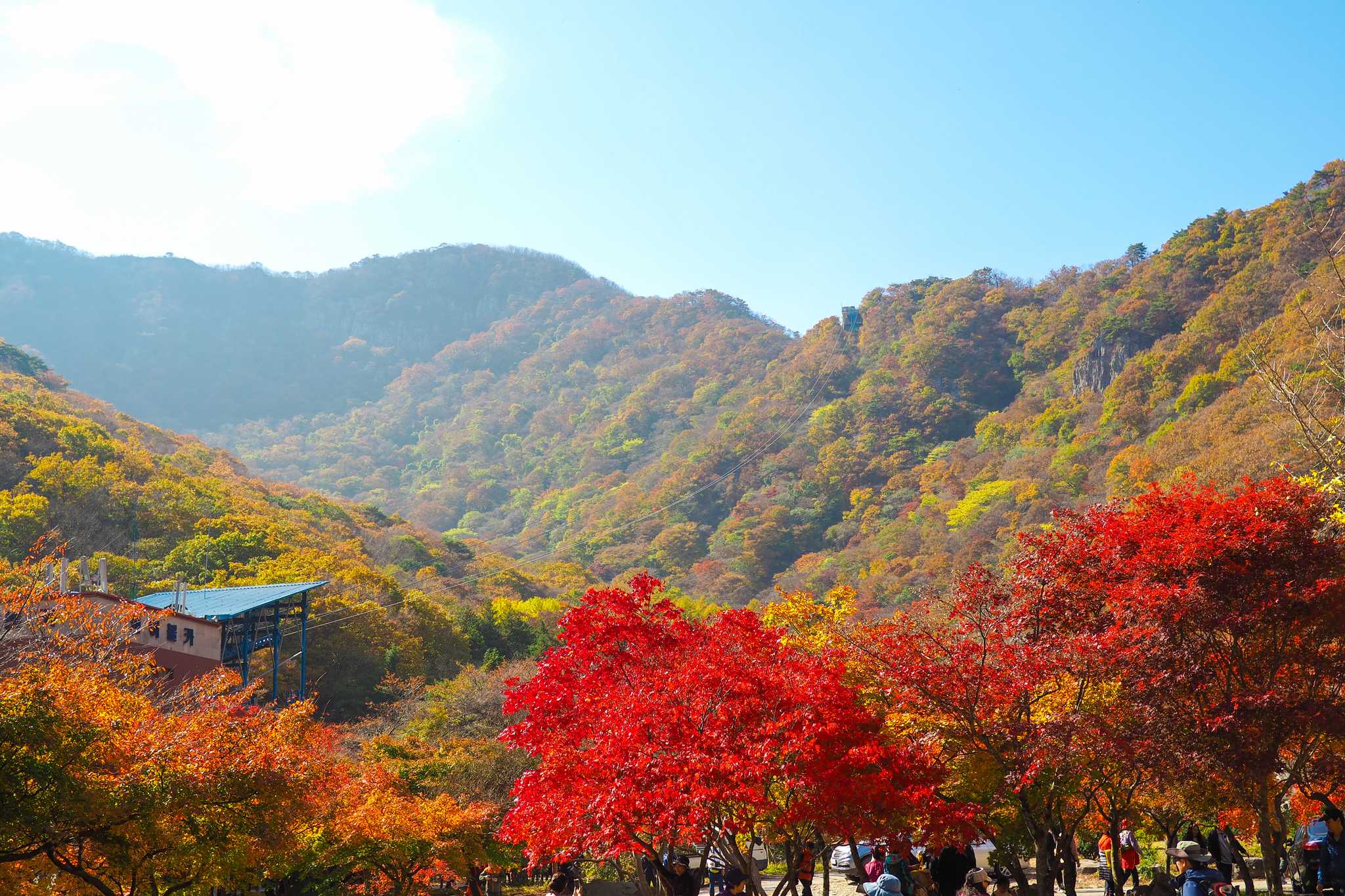 A valley of brightly colored red, orange, and yellow leaves at Seoraksan National Park.
