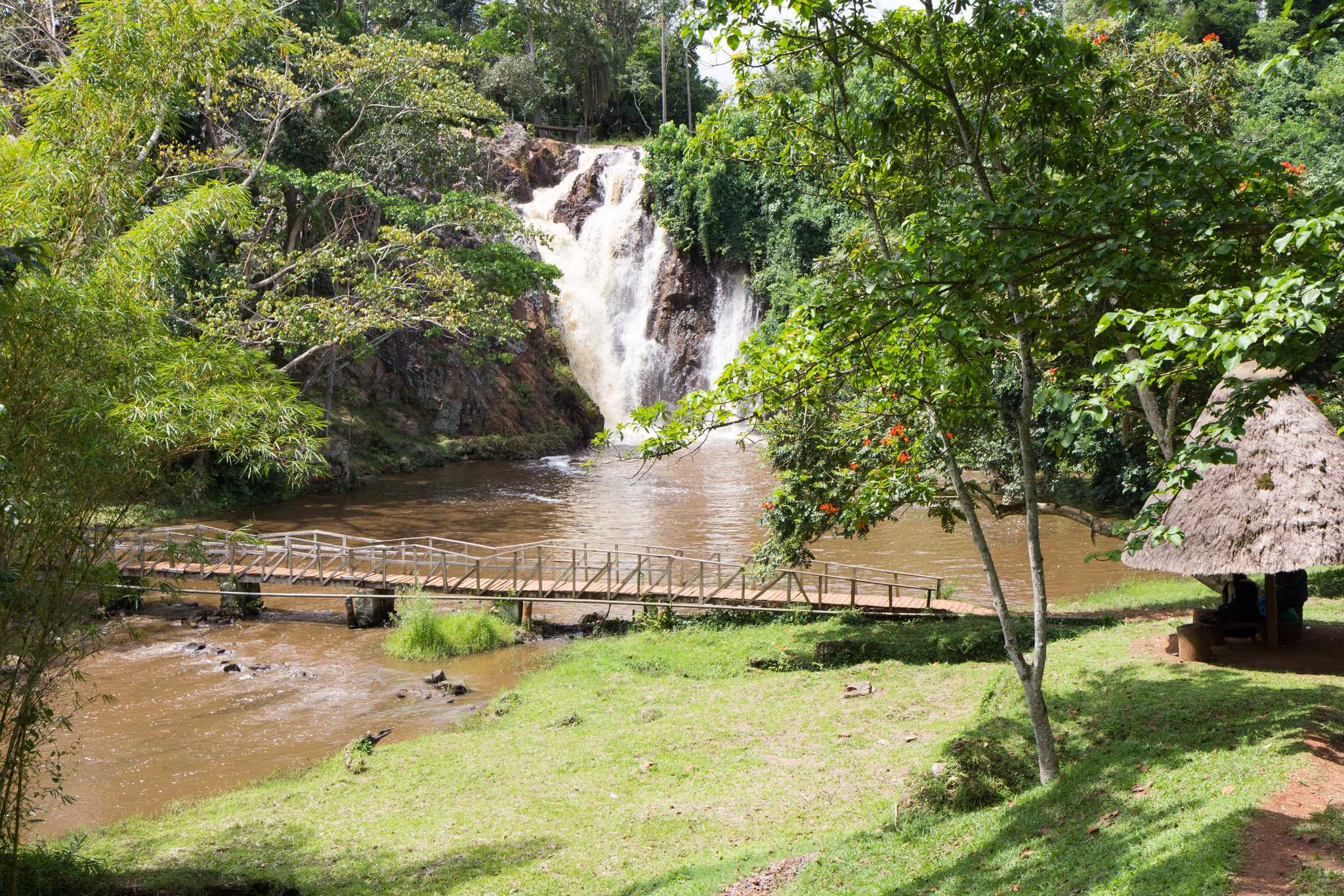 在 从 fort-portal-ug 到 jinja-ug 的途中，参观 Sezibwa falls ，通过 Daytrip