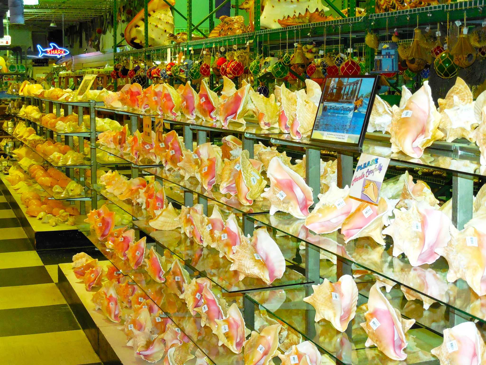 Visitar Shell Factory en el camino de naples-fl-us a orlando-fl-us con Daytrip