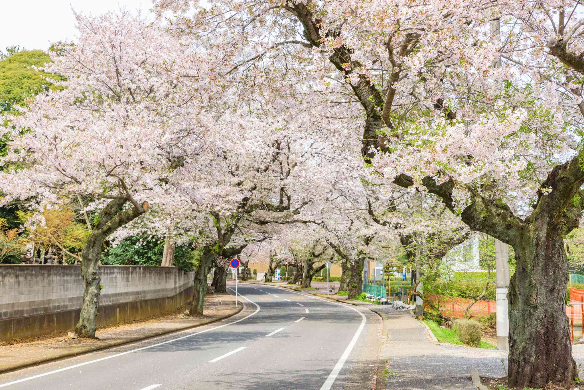 Tokyo 的风景 - 从 Tokyo 出发的私人 一日游 - 照片 3