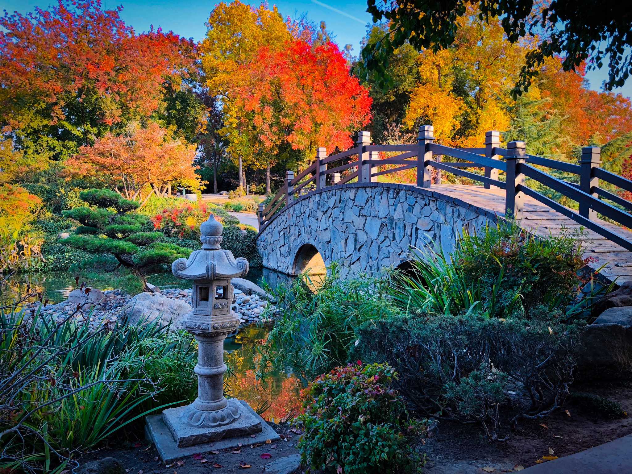 在 从 santa-clara-ca-us 到 fresno-ca-us 的途中，参观 Shinzen Japanese Garden ，通过 Daytrip