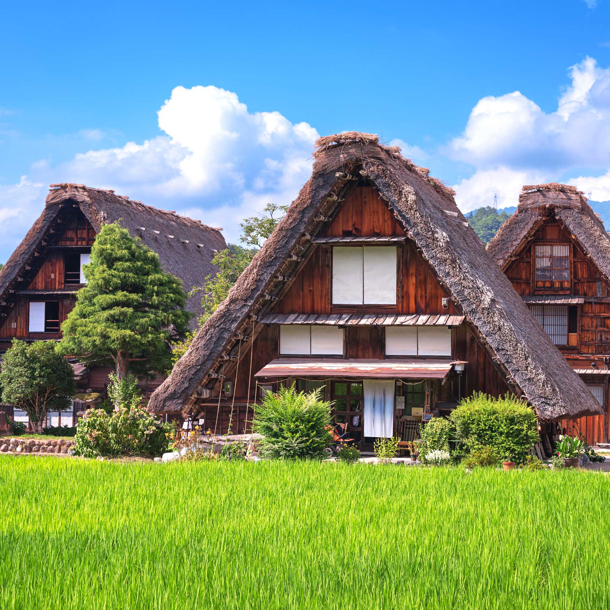Shirakawa