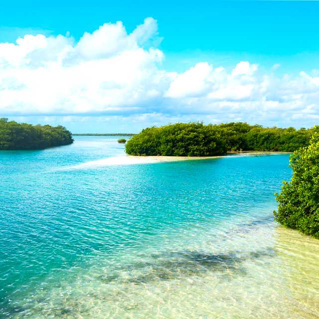 The Coastal Eden of Muyil and Sian Ka'an: Day trip from Tulum