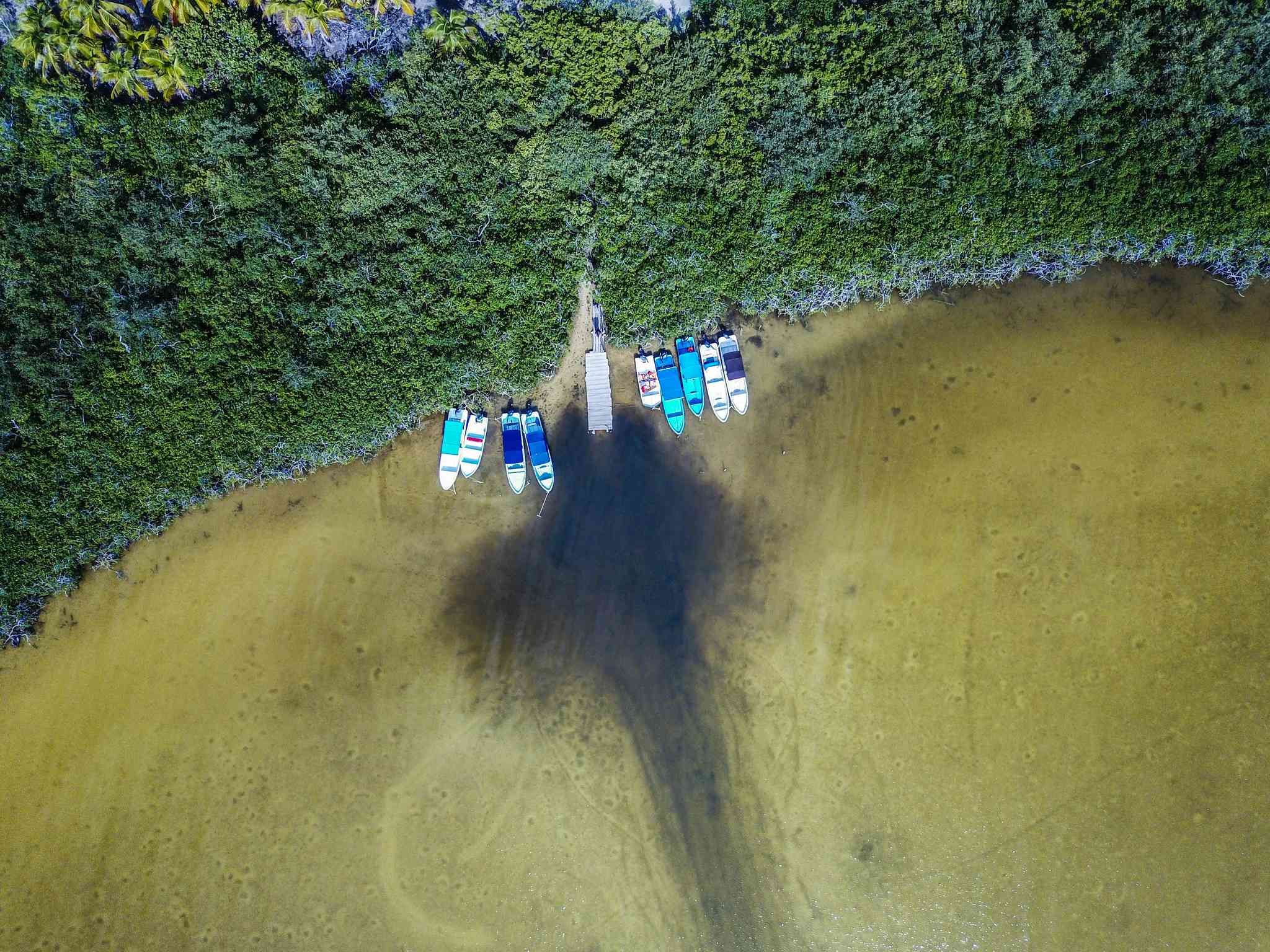 Vista cênica de Tulum - excursão particular de um dia de Tulum - foto 3