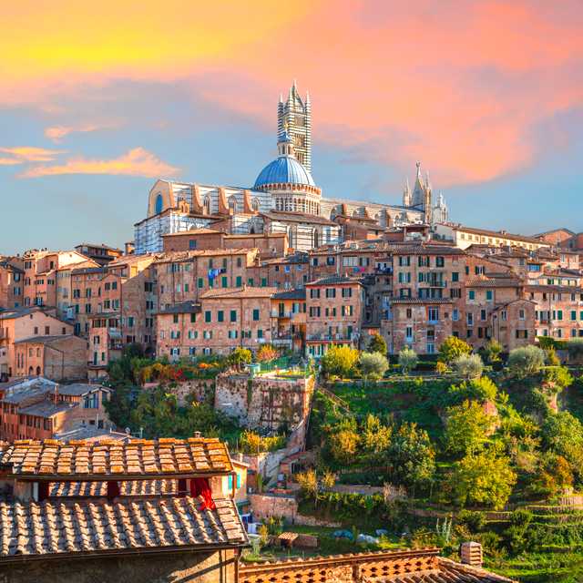 Rome to Orvieto and Siena: Private day trip