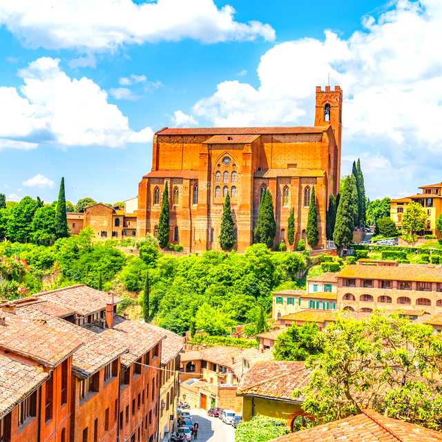 Lucca to Siena: Private day trip