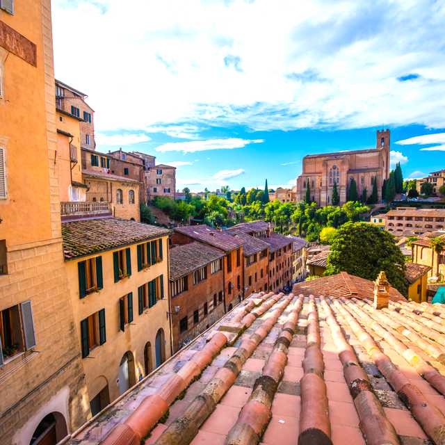 Florence to Siena: Private day trip