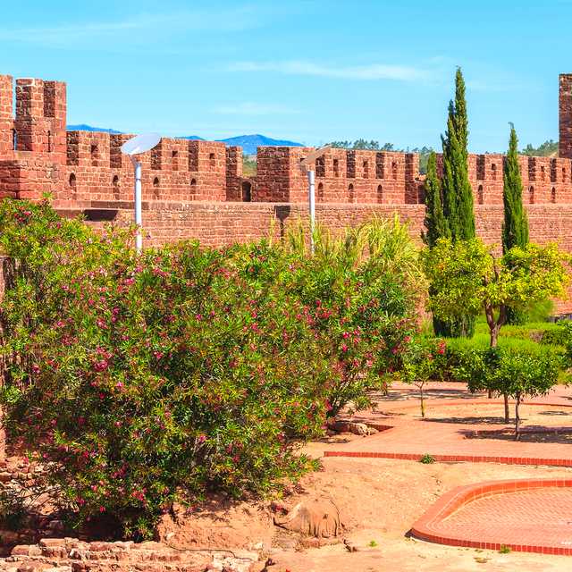 Portimao to Silves and Alvor: Private day trip