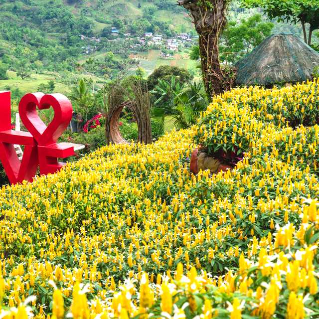 Cebu City to Sirao Garden and Temple of Leah: Day trip