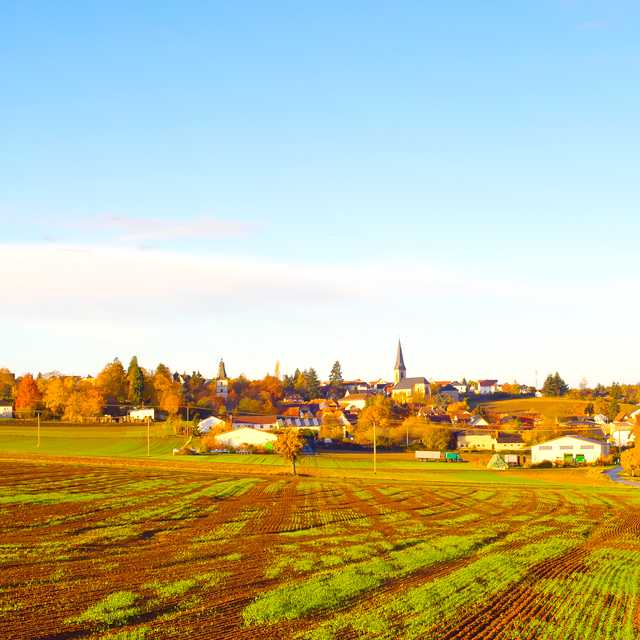 Prague to Kafka's Bohemia: Private day trip