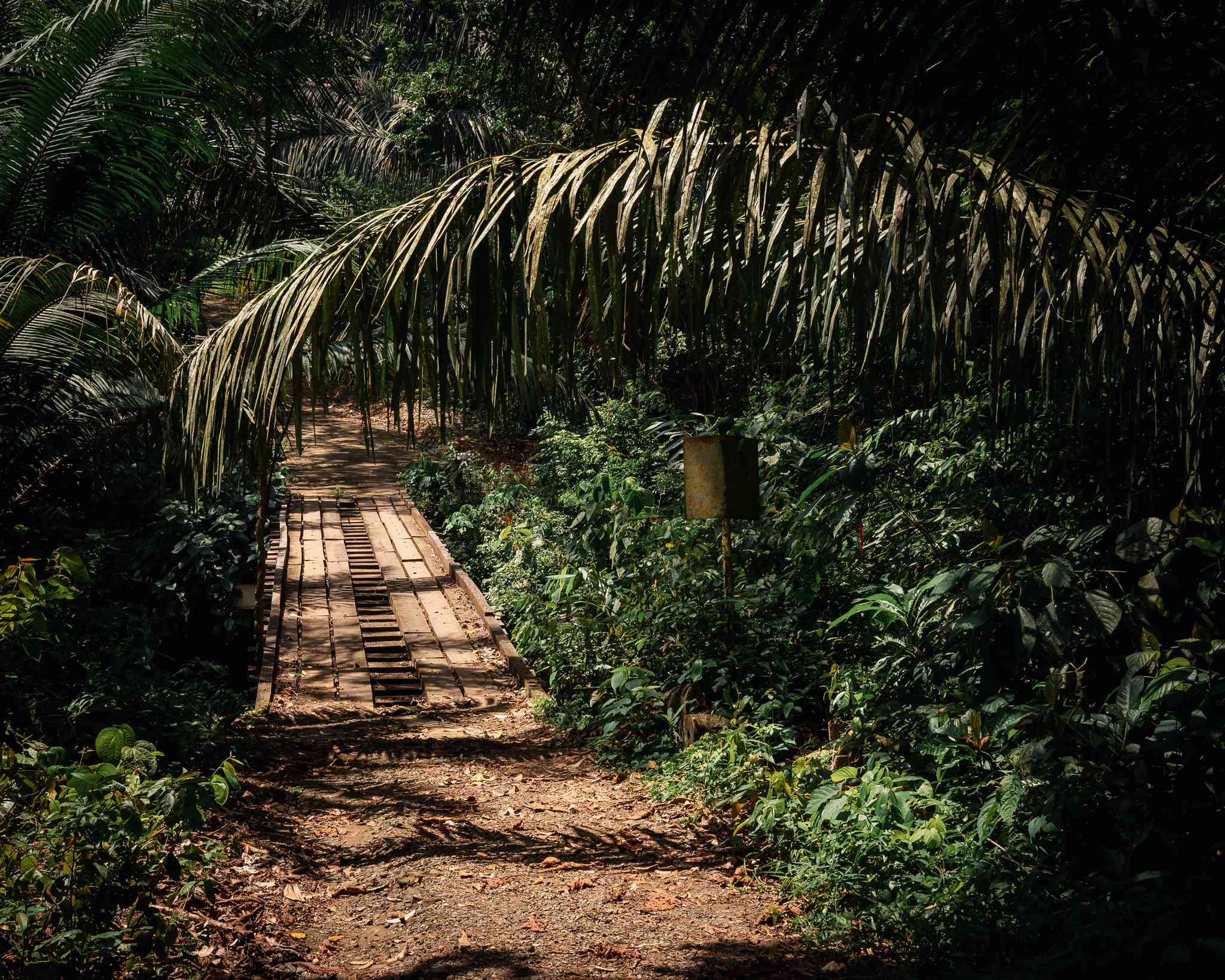 Vacker vy över Panama City - privat dagsutflykt från Panama City - foto 3