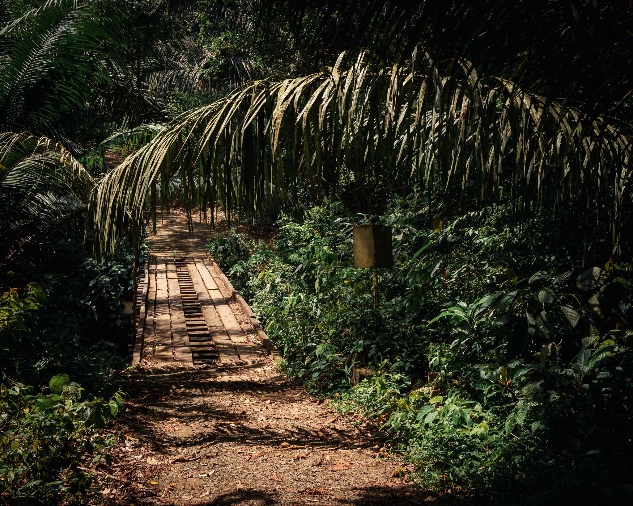 Soberania National Park