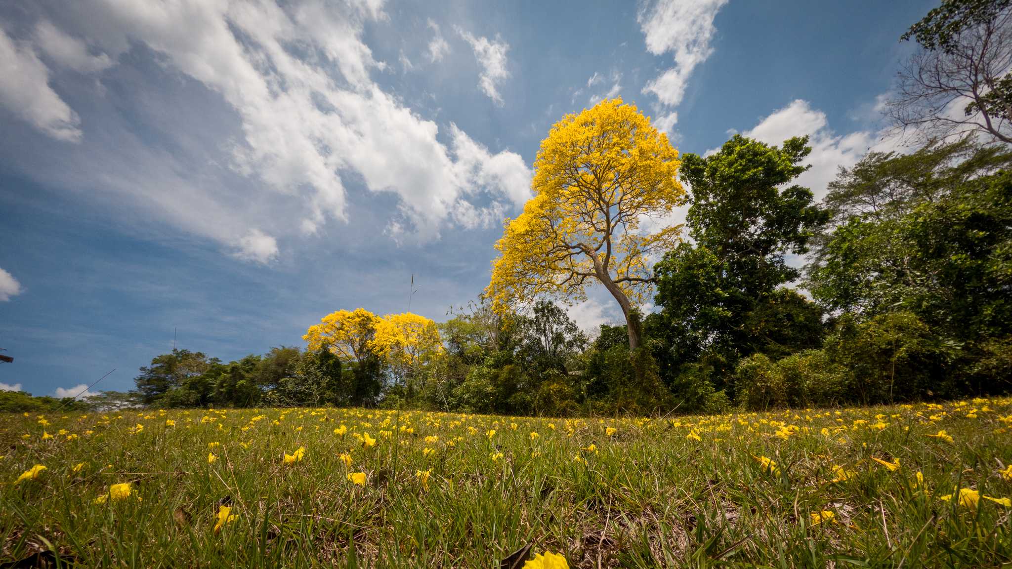 Soberania National Park