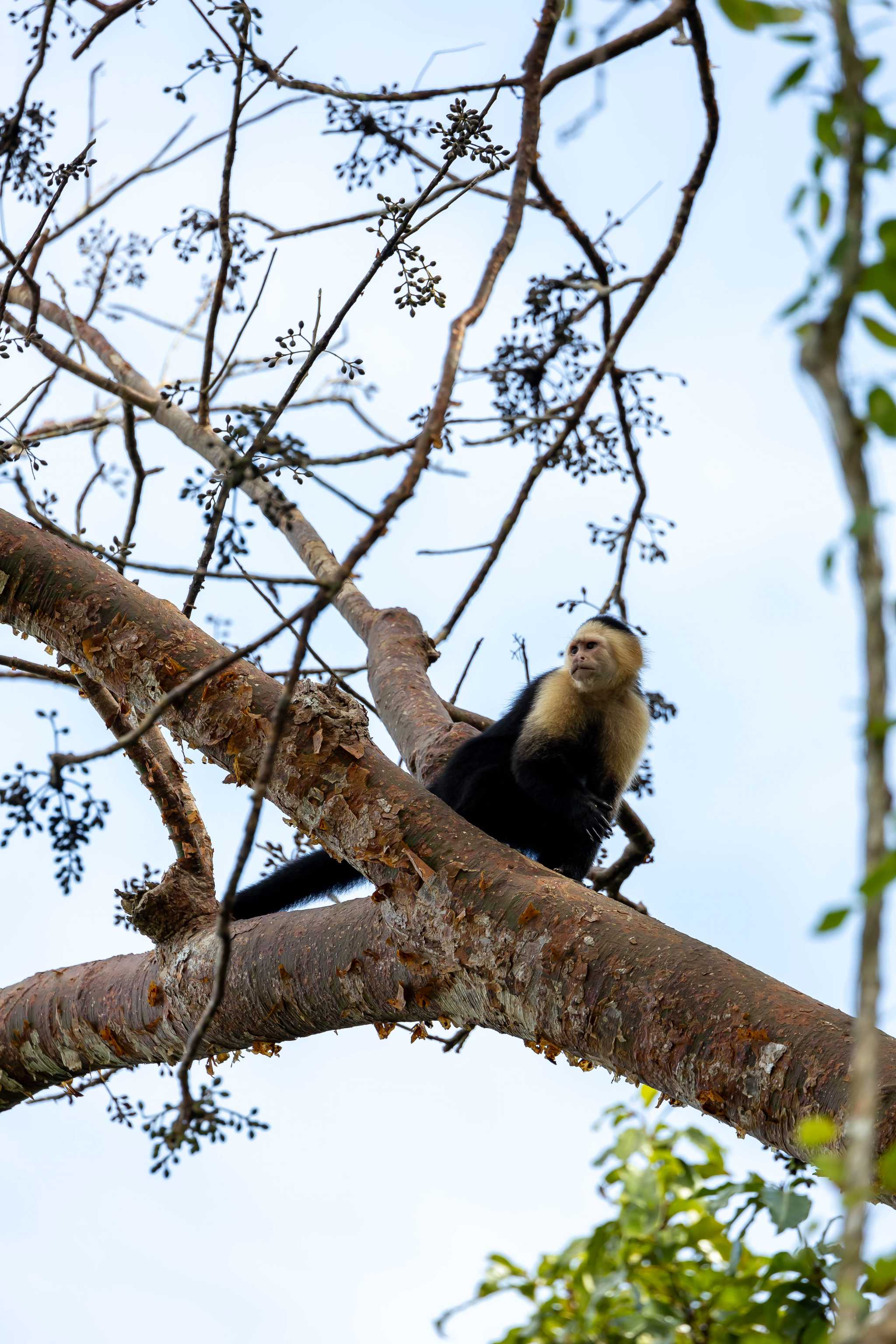 Soberania National Park