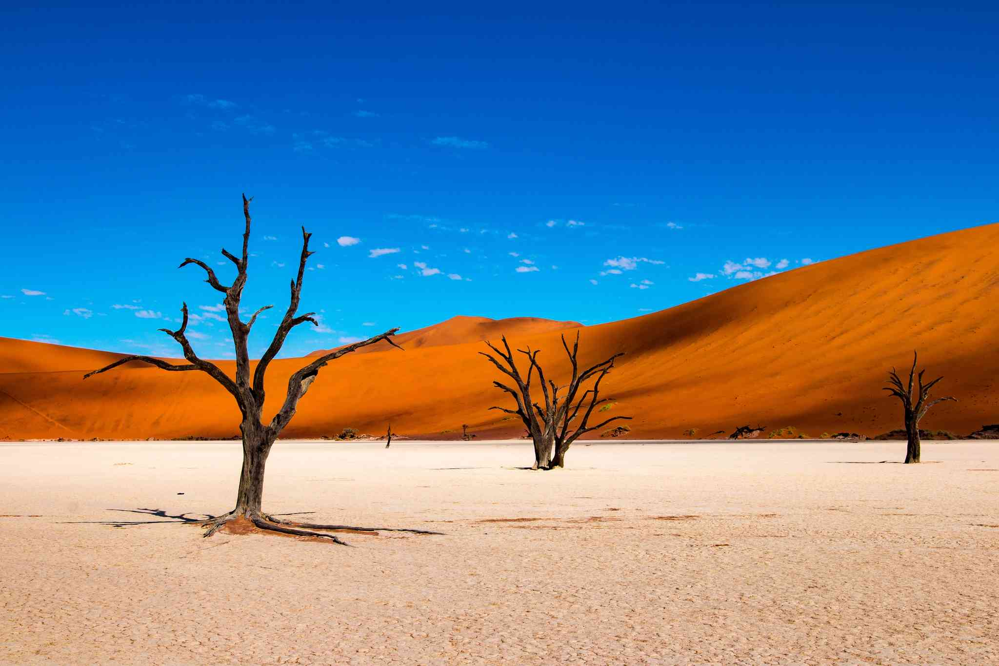 Scenic view of Swakopmund - private day trip from Sossusvlei - photo 4