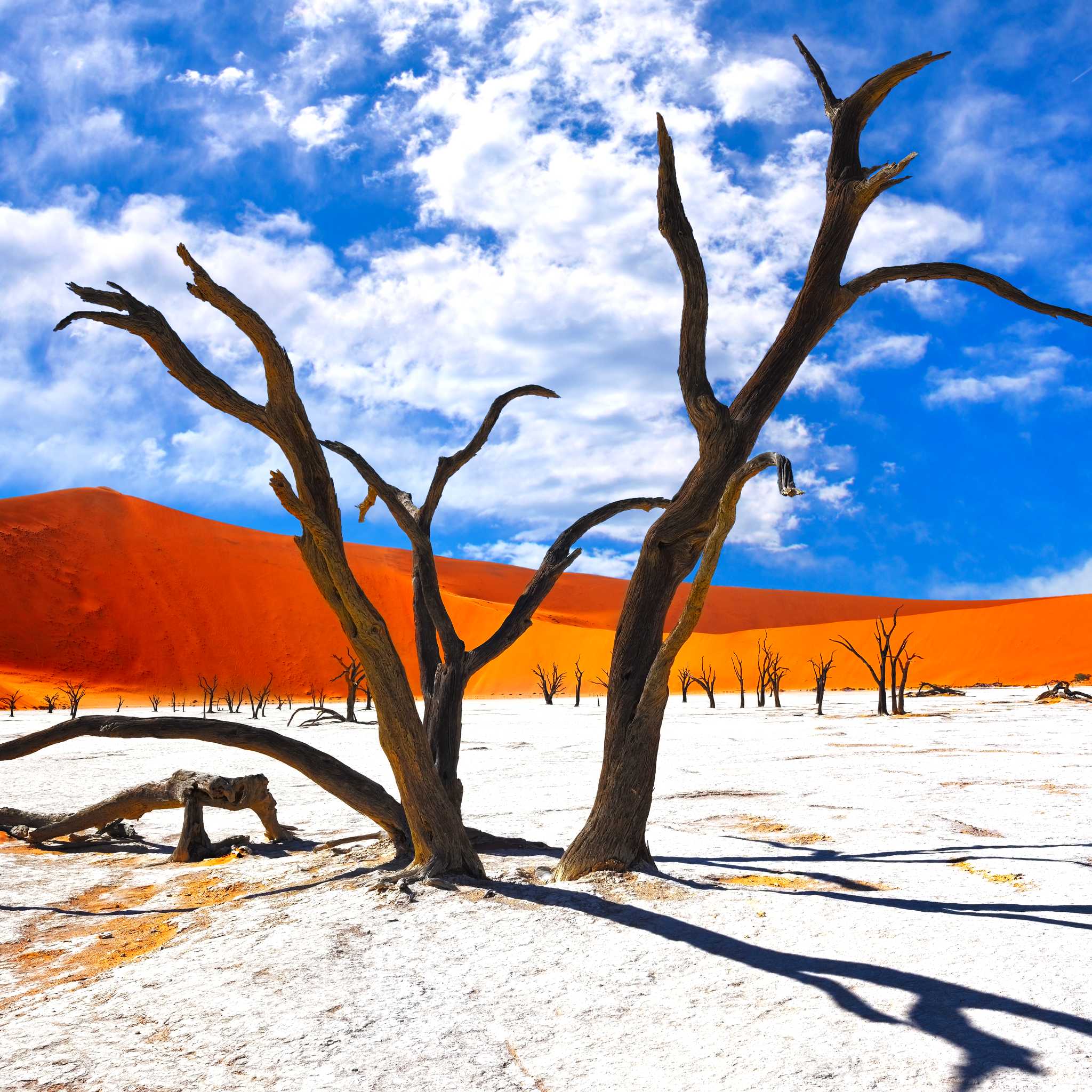 Sossusvlei