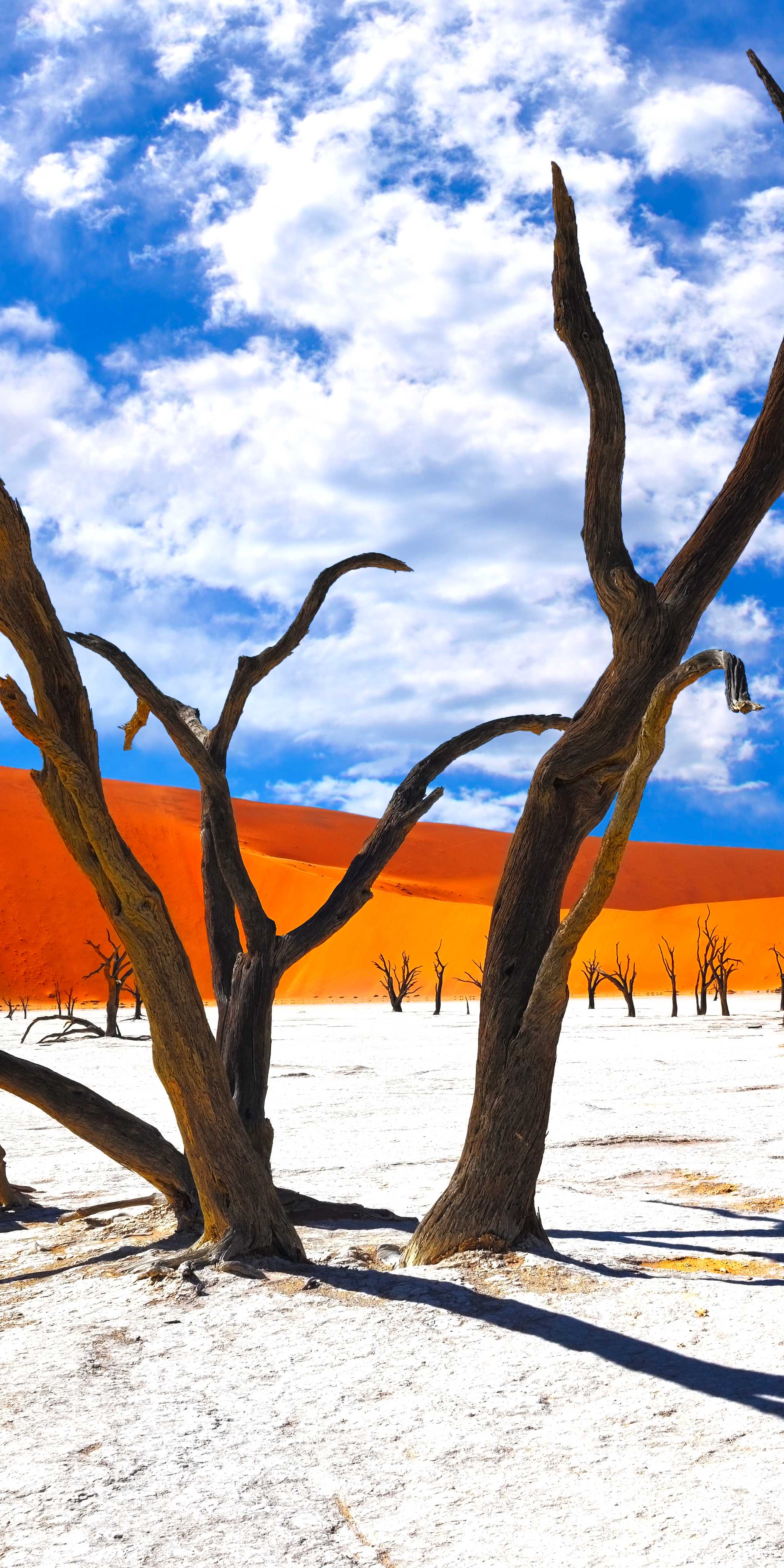 Sossusvlei
