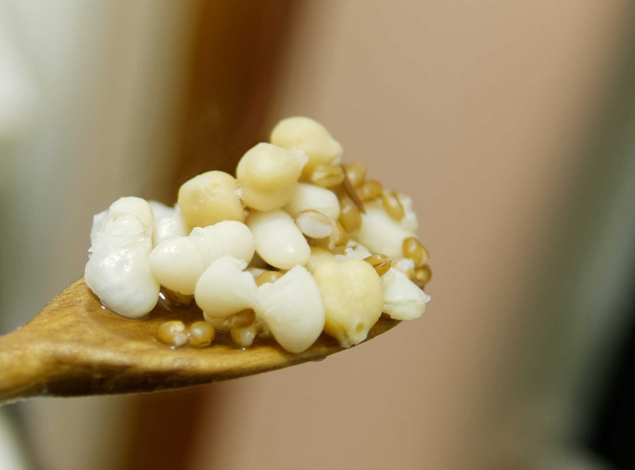 A close-up of a wooden spoon holding boiled beans, chickpeas and wheat against a blurred background.