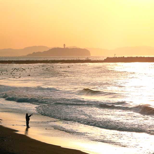 Tokyo to Komayama Park and Chigasaki Beach: Private day trip