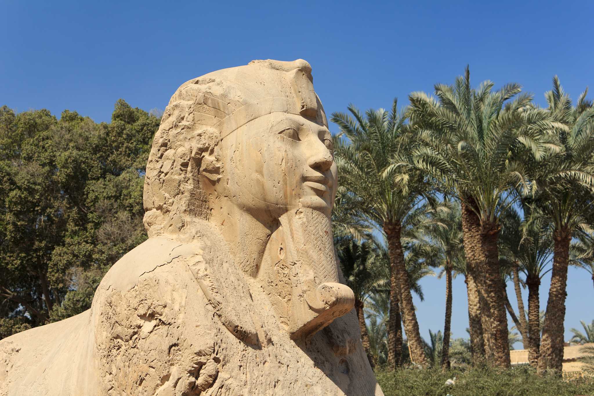 Sphinx of Memphis 的私人汽车接送服务 - 在 埃及 的 Sphinx of Memphis 风景
