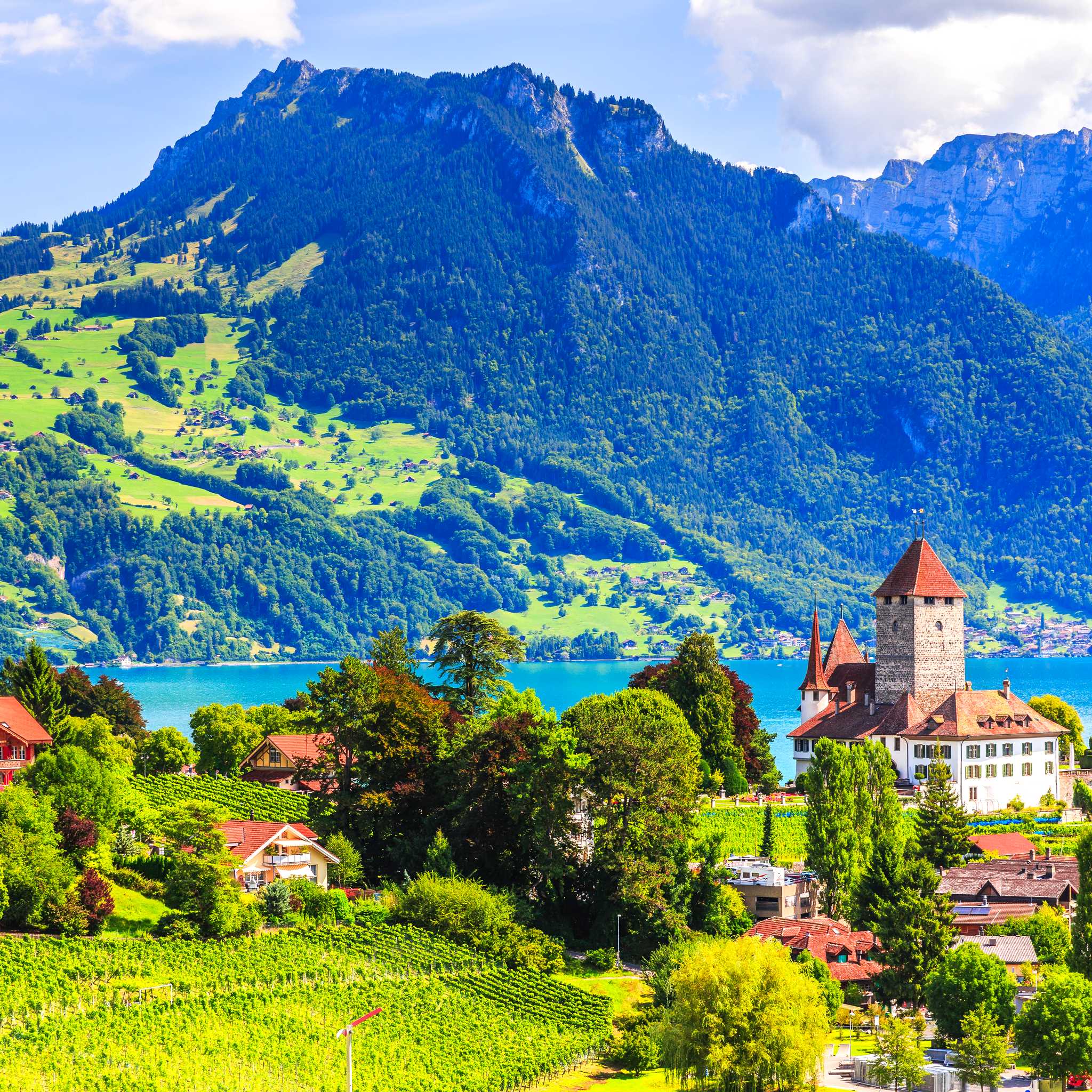 Spiez