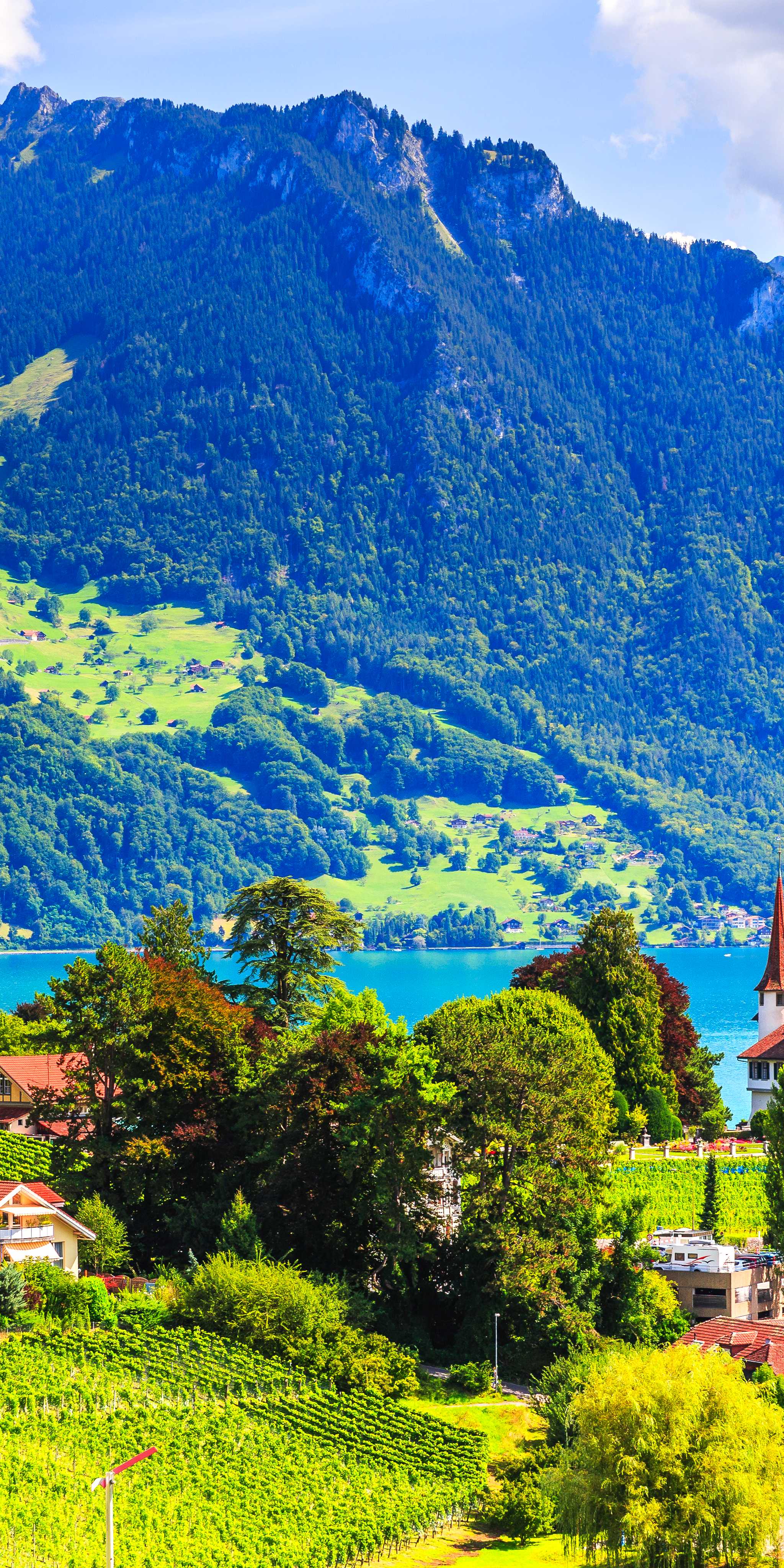 Spiez