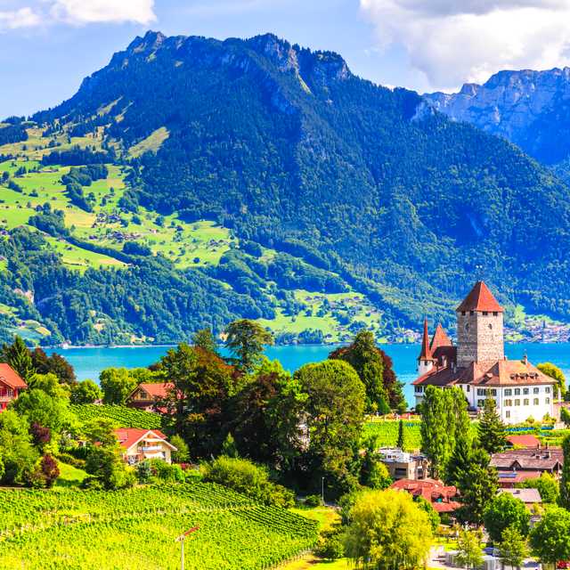 Interlaken to Thun and Spiez: Private day trip
