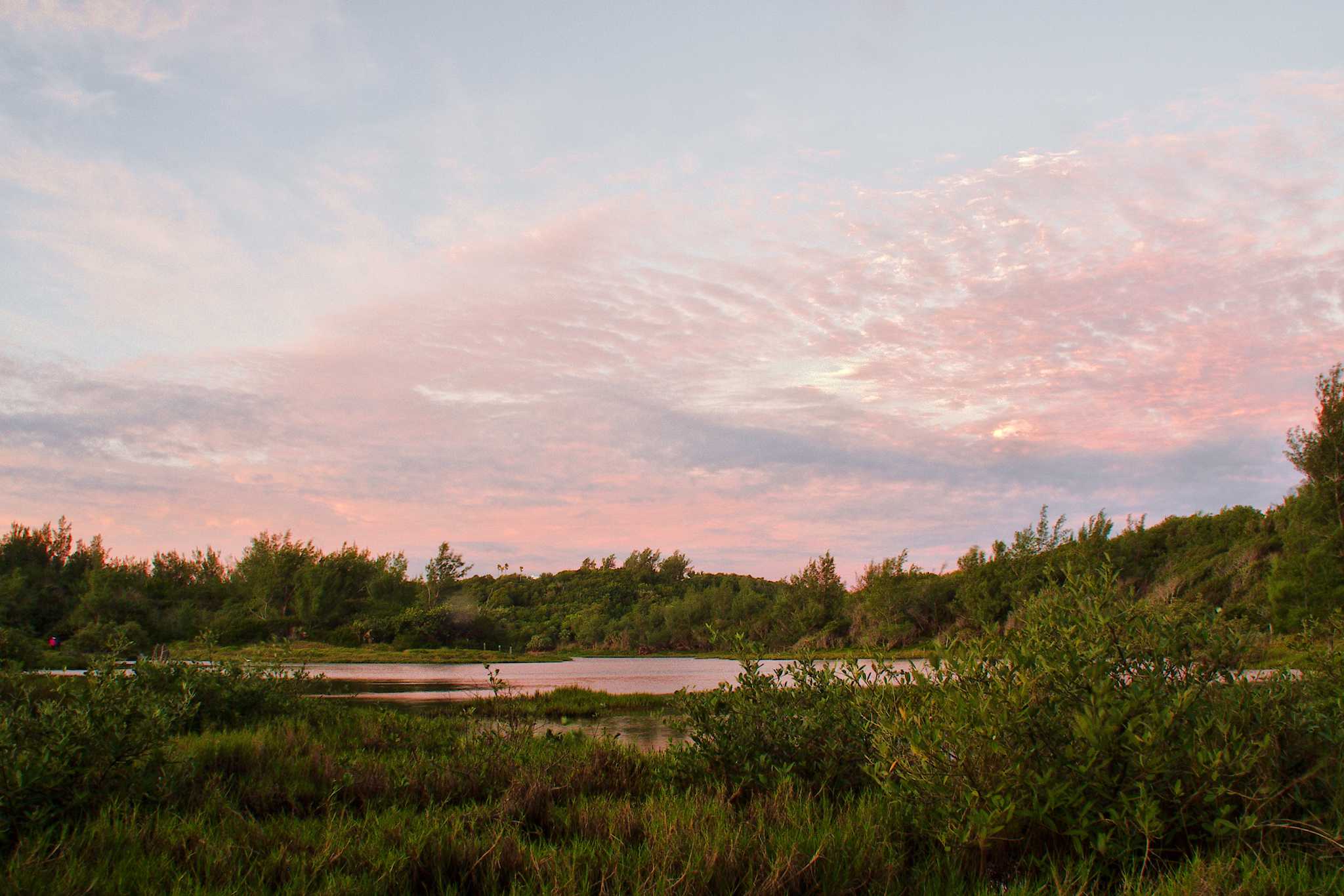 Visit Spittal Pond Nature Reserve on the way from st-george-s-bm to port-royal-golf-course-bm with Daytrip