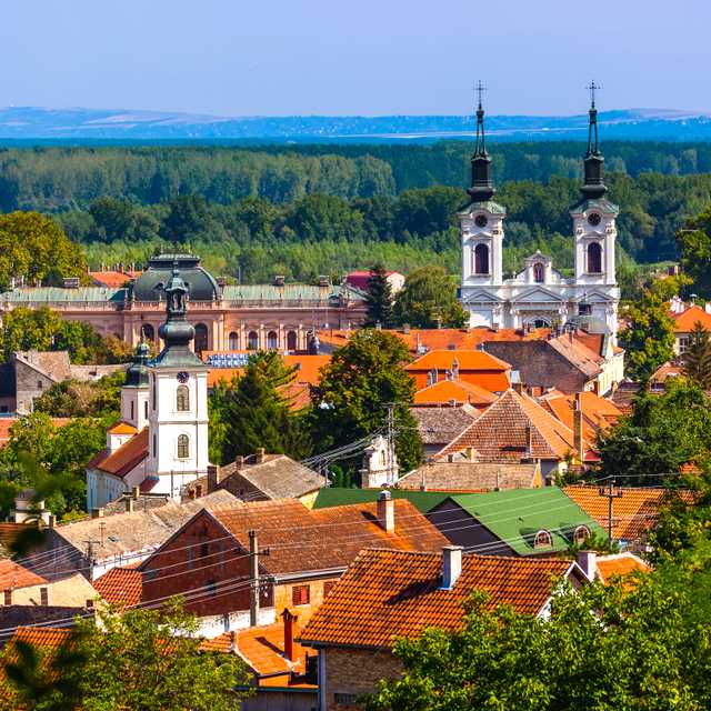 Belgrade to Sremski Karlovci: Private day trip